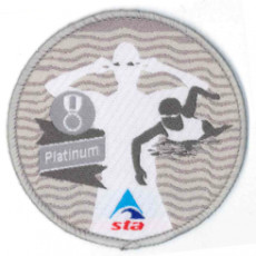 Platinum Award (3/3)