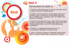 JLG Seal 3 Certificate (2/2)