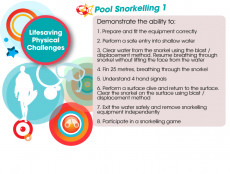 JLG Snorkelling 1 Certificate (2/2)