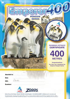 Emperor Penguin 400M Award (2/3)