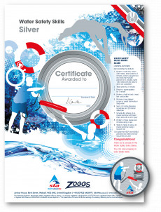 Water Safety Skills Silver Award (1/3)