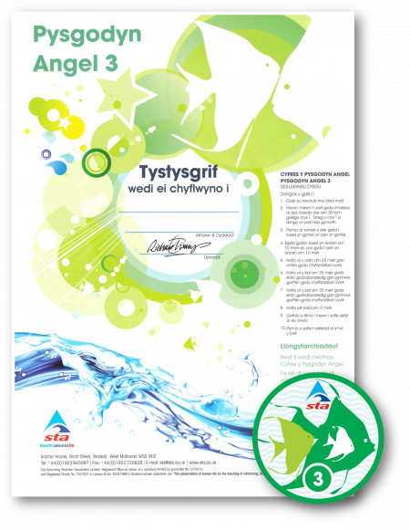Angelfish - Maelgi 3 (1/3)