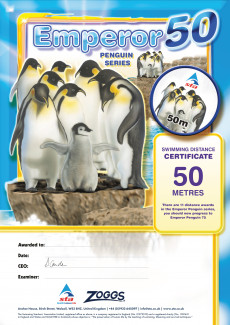 Emperor Penguin 50 M Award (2/3)