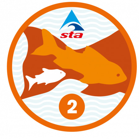 Goldfish 2 Award (3/3)