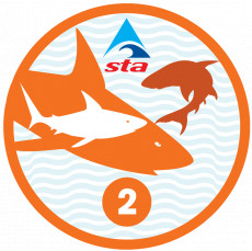 Shark 2 Award (3/3)