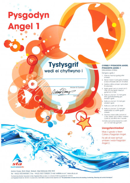 Angelfish - Maelgi 1 (2/3)