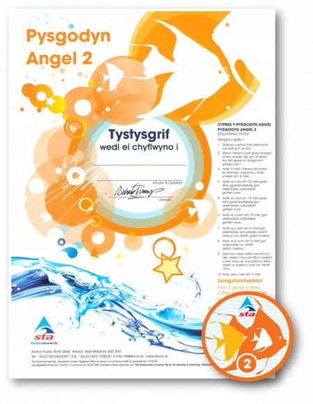 Angelfish - Maelgi 2 (1/3)