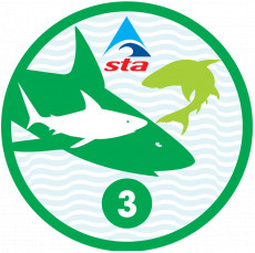 Shark 3 Award (3/3)