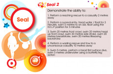 JLG Seal 2 Certificate (2/2)