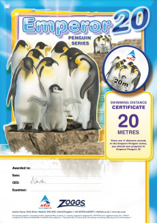 Emperor Penguin 20 M Award (2/3)