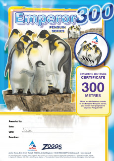 Emperor Penguin 300M Award (2/3)